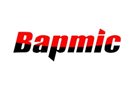 Кульовий шарнір рульової тяги в зборі Bapmic BACB12481040