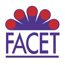 Запчасти FACET