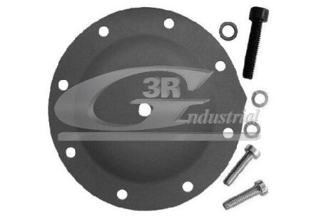 РЕМКОМПЛЕКТ ВАКУУМНОГО НАСОСА 3RG 80002