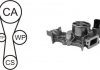 Насос води + комплект зубчатого ремня AIRTEX WPK-181801 (фото 1)
