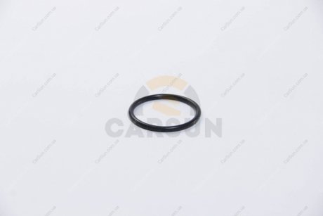 Кольцо уплотнительное термостата AJUSA 16029000 (фото 1)