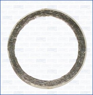 Уплотнительное кольцо, труба выхлопного газа AJUSA 19002100 (фото 1)