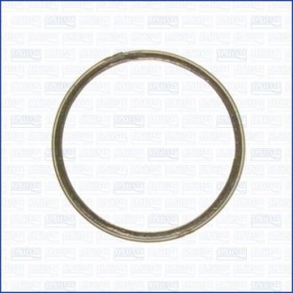 Уплотнительное кольцо, труба выхлопного газа AJUSA 19004400 (фото 1)