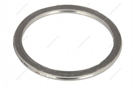 Уплотнительное кольцо, труба выхлопного газа AJUSA 19005500 (фото 1)