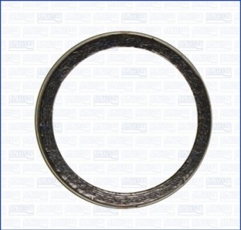 Уплотняющее кольцо AJUSA 19006200 (фото 1)