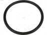 O-ring As-pl ARS9125S (фото 1)