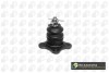 BALL JOINT UPPER BGA SJ3102 (фото 1)