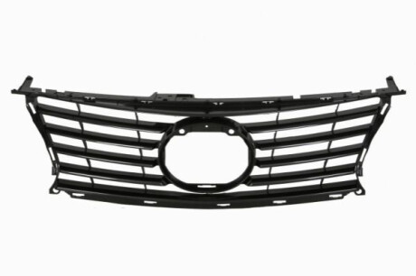 Radiator Grille BLIC 6502078171994P