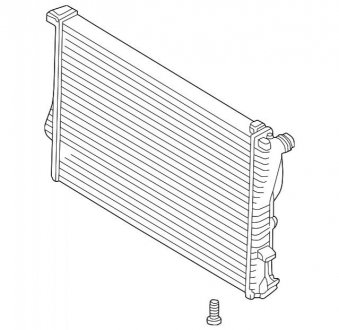 Радіатор охолоджування двигуна BMW 17101715319