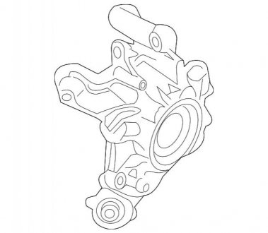 Поворотный кулак BMW 33306865661