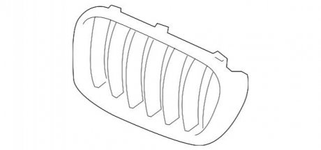 Решетка радиатора BMW 51117210726