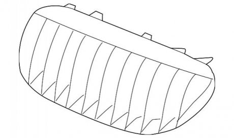 Решетка радиатора BMW 51137008915