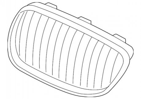 Решетка радиатора BMW 51137254968