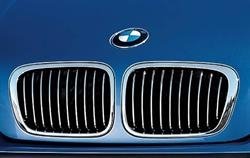 Решетка радиатора BMW 51138208489 (фото 1)