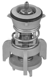 Термостат BorgWarner BBT482