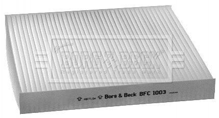 Фільтр BorgWarner BFC1003 (фото 1)