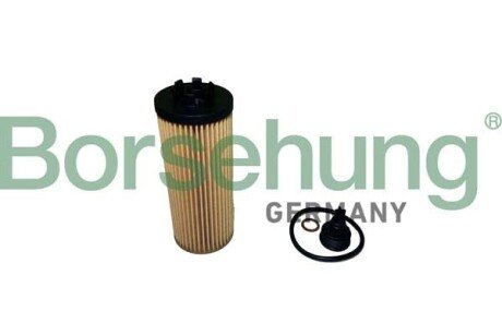 Oil filter element Borsehung B10437