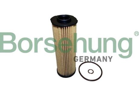 Oil filter element Borsehung B10438