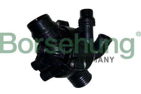 Thermostat assembly Borsehung B10551