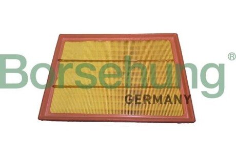 Air filter element Borsehung B12440