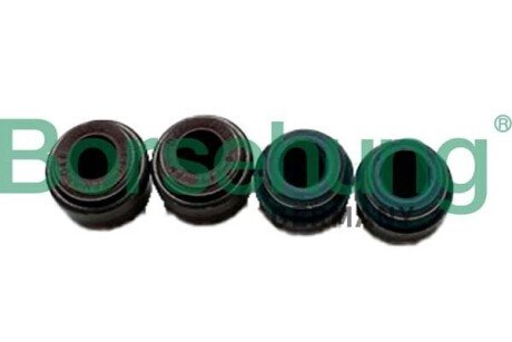 Oil seal for valve; 4 pieces Borsehung B12534