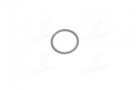 Уплотнительное кольцо BOSCH F00VD38010 (фото 1)