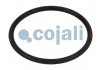 Ремкомпект клапана обмеження тиску COJALI 6012160 (фото 3)