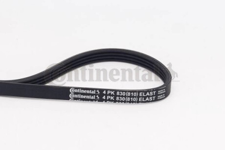 Belt CONTINENTAL / VDO 4PK830ELAST