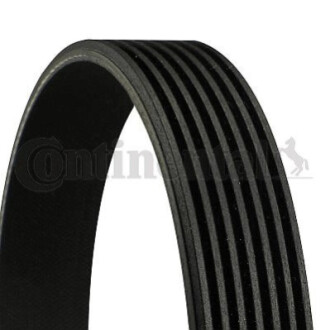 V-Ribbed Belt CONTINENTAL / VDO 7PK1377