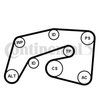 V-Ribbed Belt Set CONTINENTAL / VDO 7PK2035K1 (фото 1)