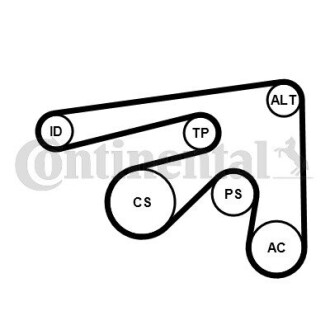 V-Ribbed Belt Set CONTINENTAL / VDO 7PK2061K1 (фото 1)