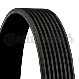 V-Ribbed Belt CONTINENTAL / VDO 8PK1440