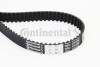 Belt CT1013