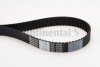 Belt CT1015