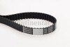 Belt CT1018