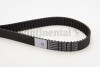 Belt CT1134