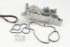 Water Pump-/Timing Belt Set CONTINENTAL / VDO CT1169WP1 (фото 1)