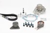 Water Pump-/Timing Belt Set CONTINENTAL / VDO CT979WP2 (фото 1)