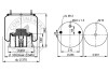 Contitech 4810 N P13 (фото 2)