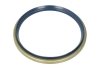 Уплотняющее кольцо, ступица колеса - (5000387566) CORTECO 12017138B (фото 1)