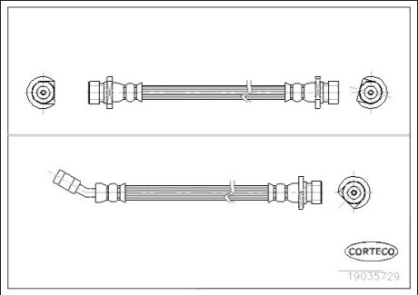 CORTECO 19035729