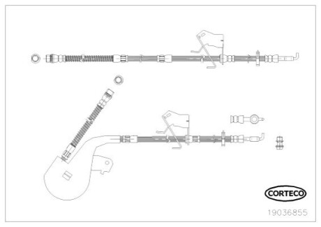 Автозапчастина CORTECO 19036855