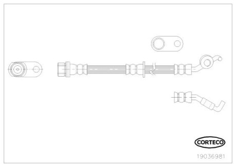 CORTECO 19036981