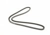 Клиновой ремень - (1796765 / 973544 / 966923) DAYCO 10A1235C (фото 2)