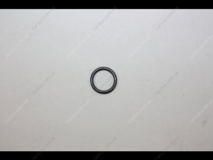 Уплотняющее кольцо AUTOMEGA 190019620 (фото 1)