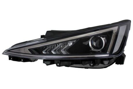 HEAD LAMP Depo 2211197LMLDEM2