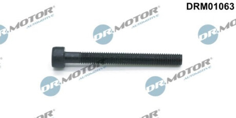 Болт з фігурною головкою Dr.Motor DRM01063