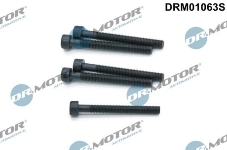 Комплект болтів двигуна з фігурною головкою Dr.Motor DRM01063S