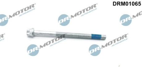 Болт з фігурною головкою Dr.Motor DRM01065