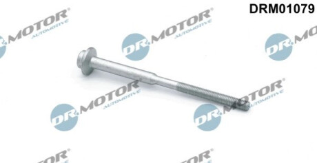 Болт з фігурною головкою Dr.Motor DRM01079